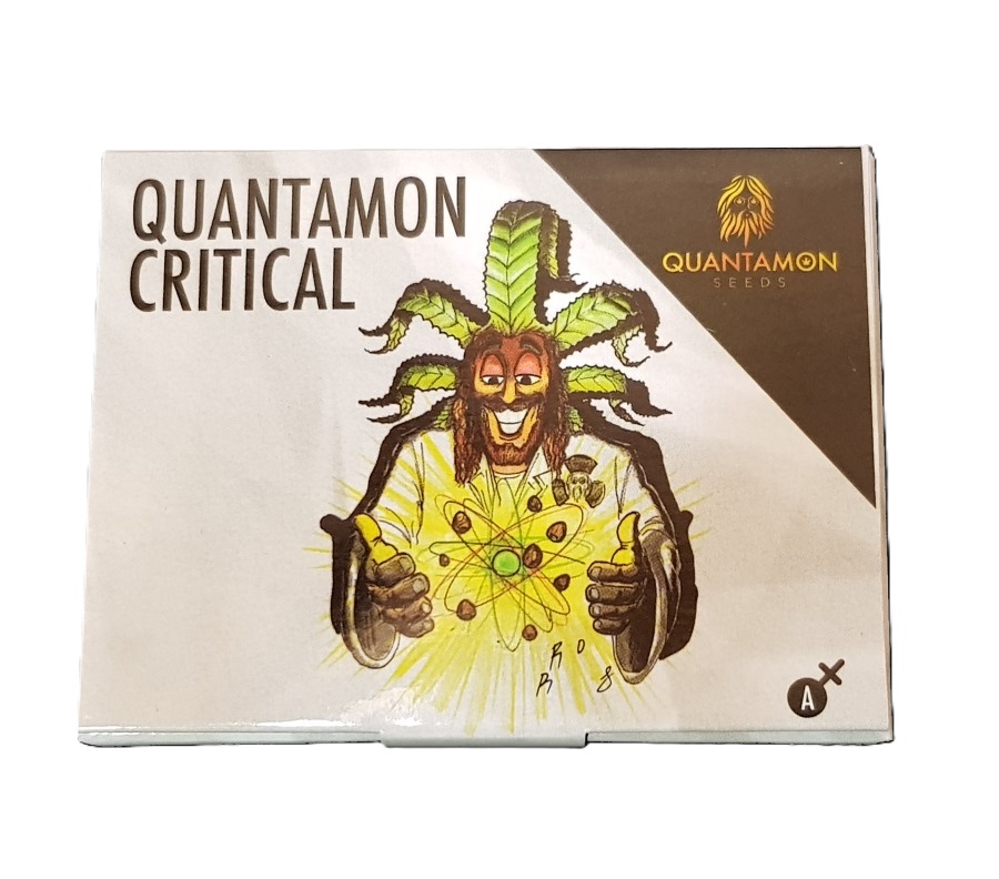 QUANTAMON CRITICAL